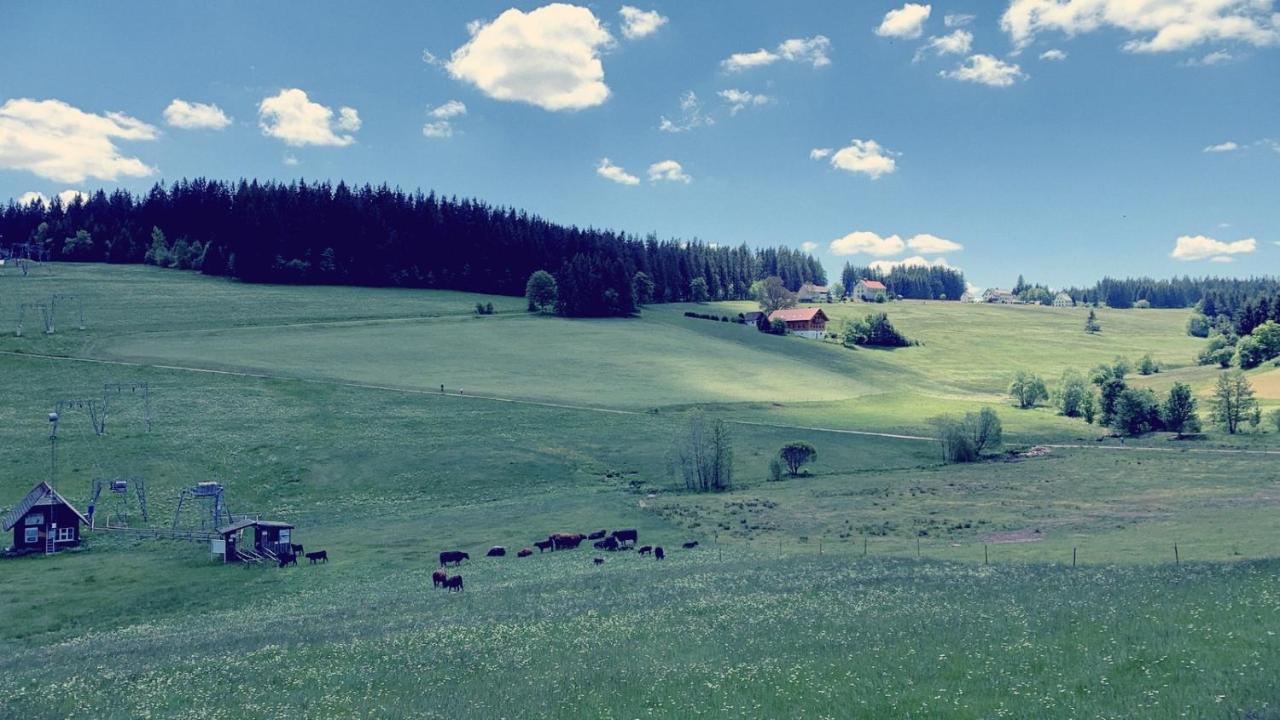 Schönwalde Daheim Im Hirschen 아파트 외부 사진